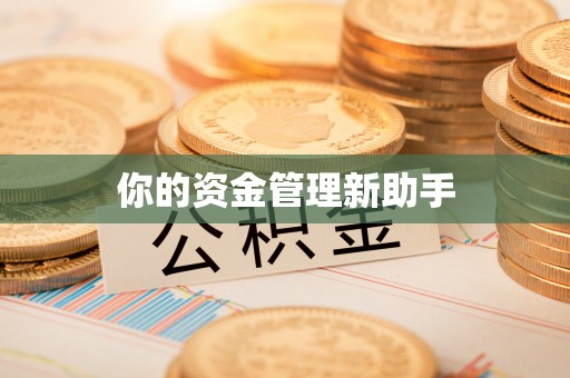 榆次你的资金管理新助手