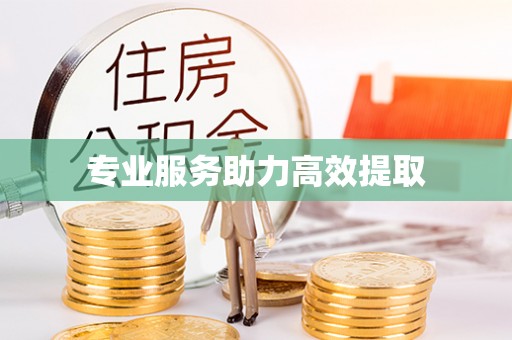 榆次专业服务助力高效提取